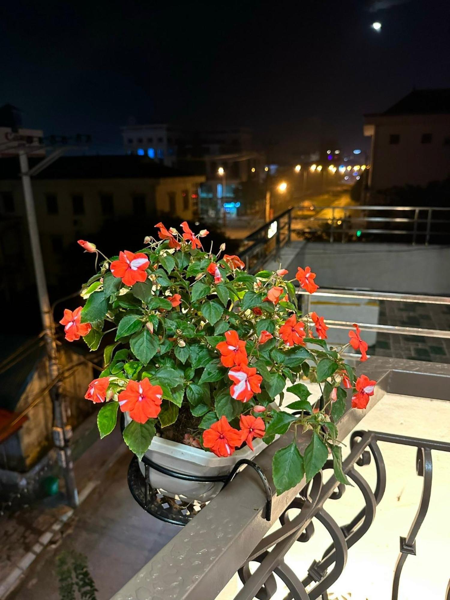 Dolce Mia Home Ninh Binh Eksteriør bilde